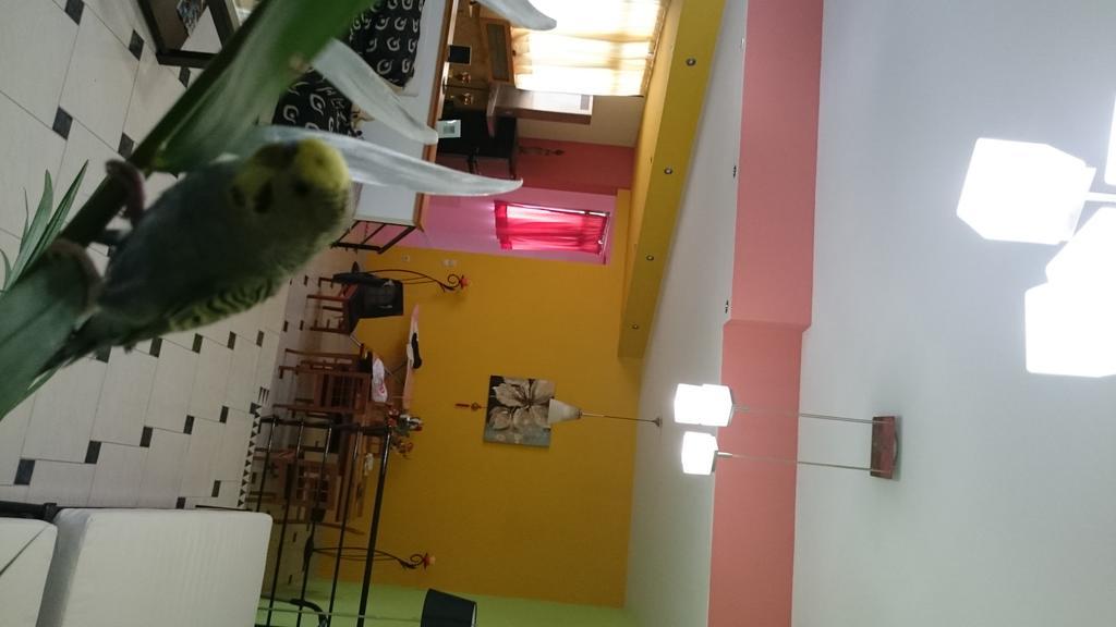 Mythos- Platanias- Hotel -Apts Platanés Dış mekan fotoğraf